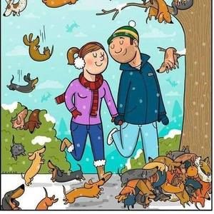 Meet your Posher, Pamela